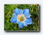 Klik for forst�rrelse